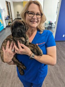 vet holding a dog