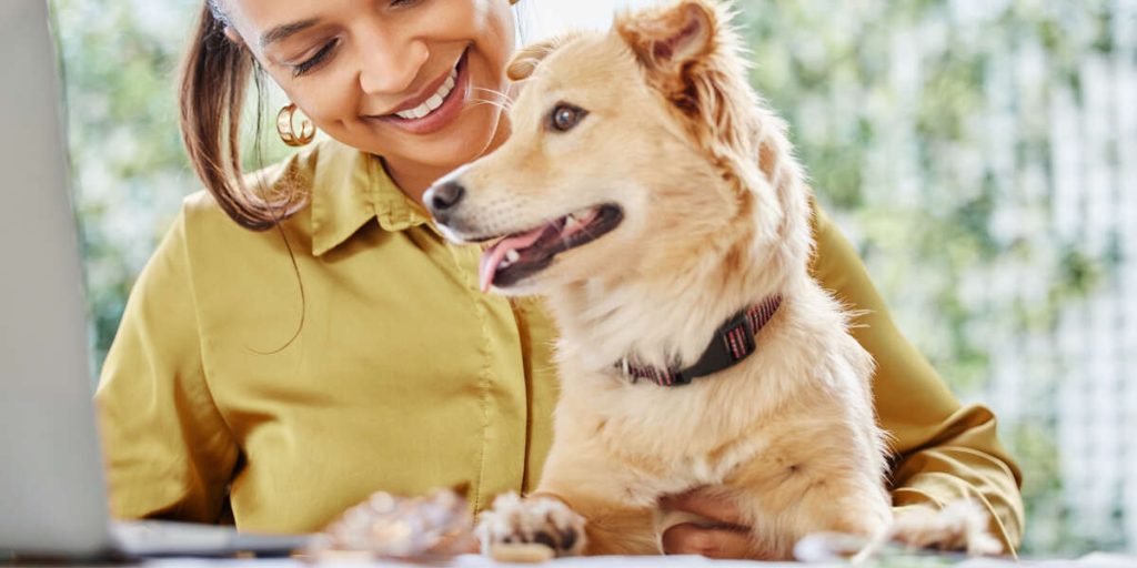 A Comprehensive Guide to the Benefits of Spaying and Neutering Your Pet