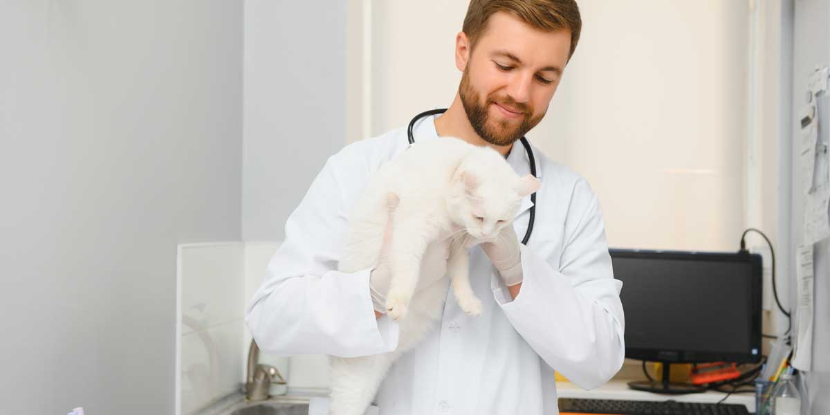 veterinary dermatologist​