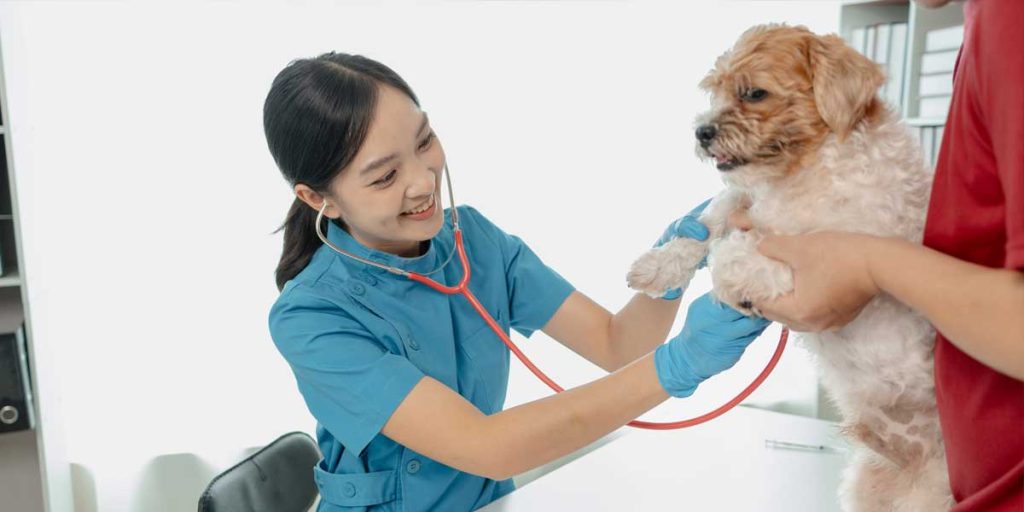 How To Prepare for Your Pet’s Wellness Exam
